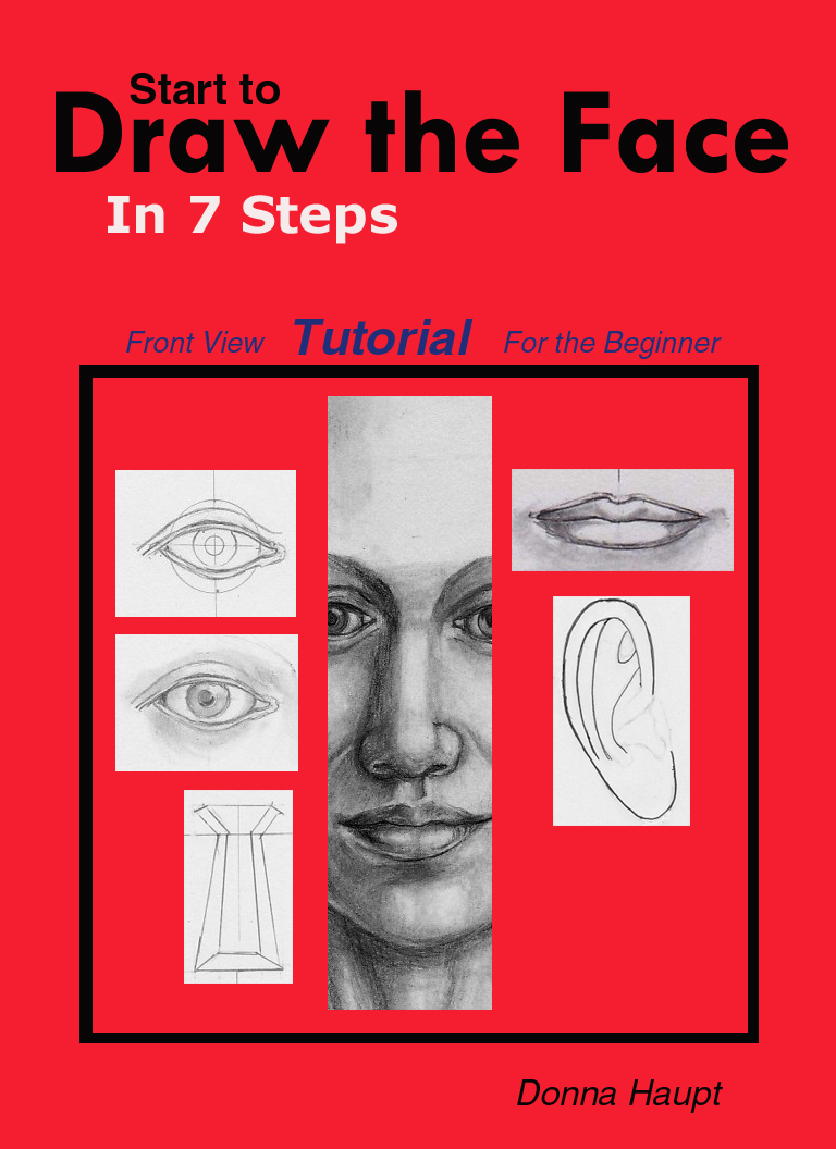 Start to Draw the Face In 7 Steps, Frontal View Tutorial for the Beginner